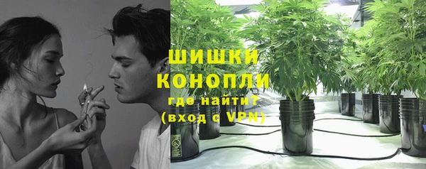 меф Арсеньев